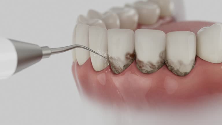 Reliable Dental contractor in West Liberty, OH by Dentist Open Now